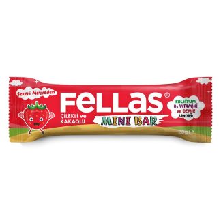 Mini Meyve Bar - Çilekli ve Kakaolu 28g x 12 Adet